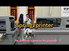 đa chức năng 1300kg Rich G5/G6 vòi với đèn LED ánh sáng UV máy in