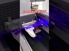 AC 220V / 50Hz / 60HZ Cung cấp điện Máy in UV đơn đi với vòi Ricoh Gen 5i